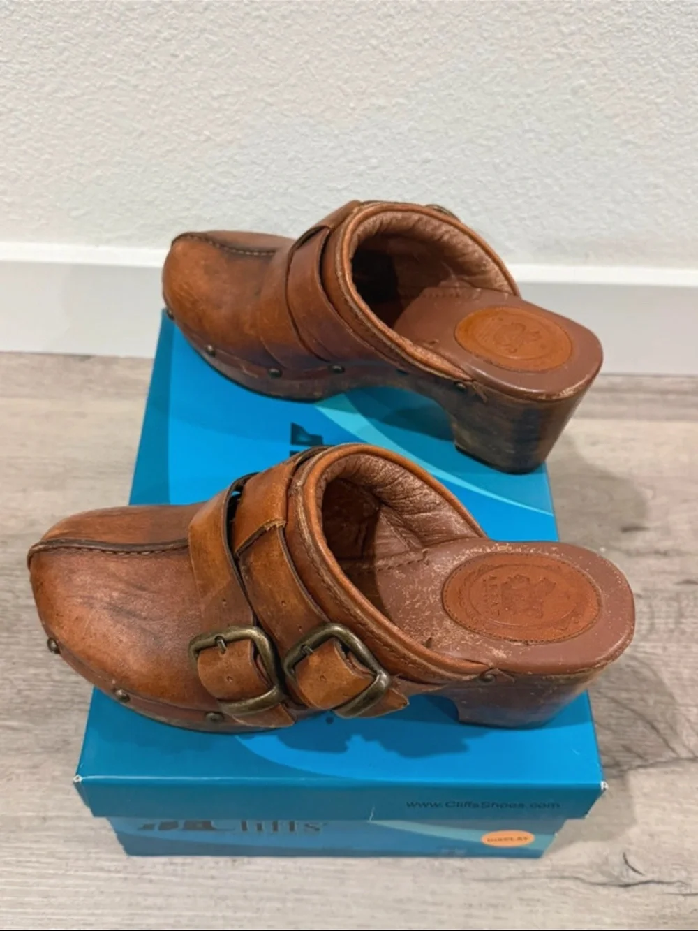 Size 7B Ariat Bridlespur Boho Leather Clog Heels Y2K